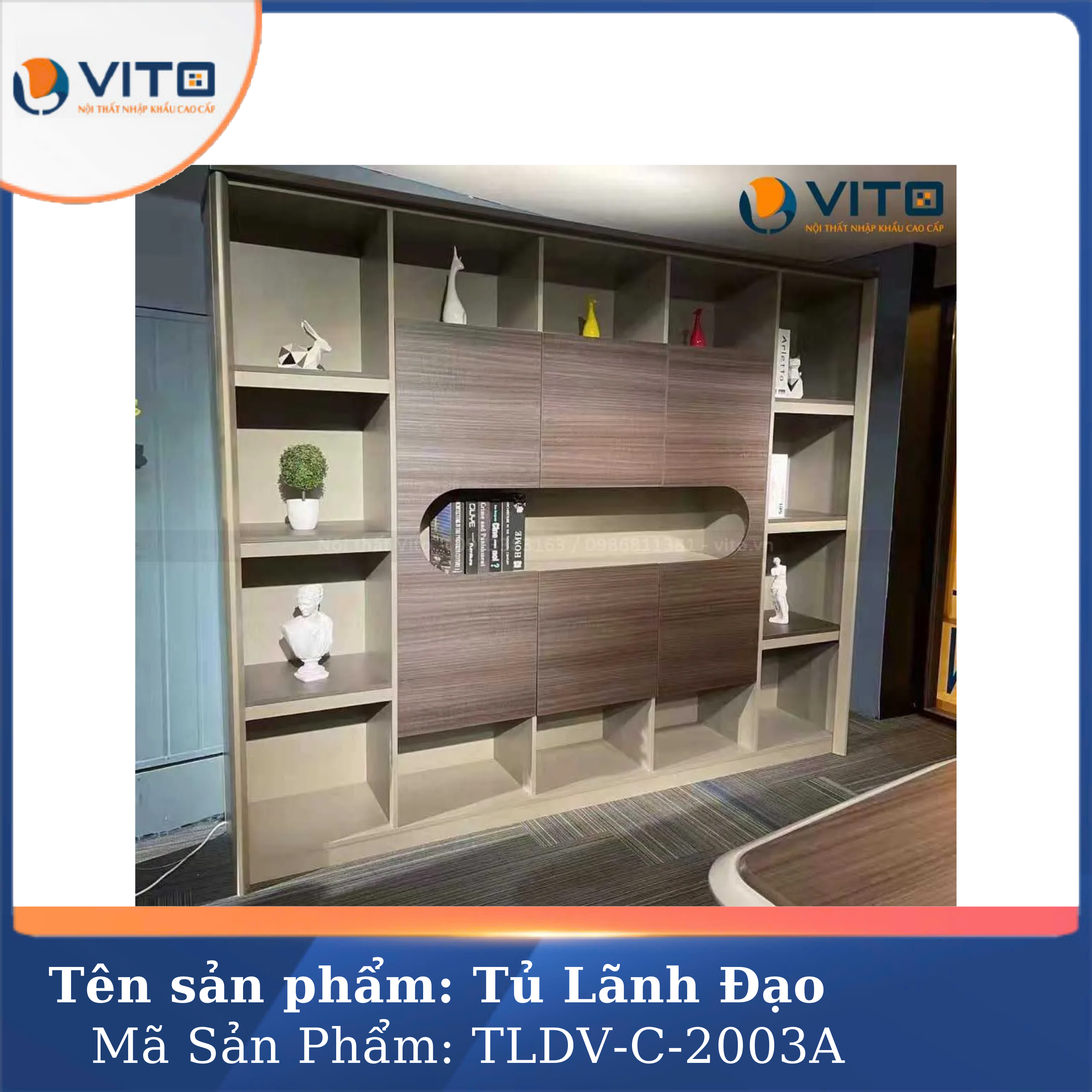 Thông tin chi tiết Tủ tài liệu lãnh đạo TLDV-C-2003A